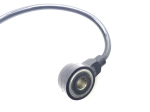 Ford Focus (2011–2018) Klopfsensor - 2