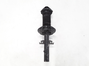 Front shock absorber - 543021249R