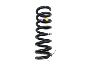  Rear spring 