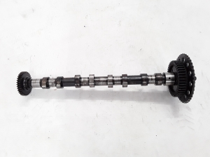   Camshaft  - 130015174R 