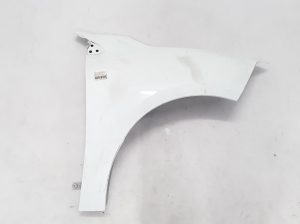 RENAULT Fluence (2009–2017) Front fender 631001150R - 3