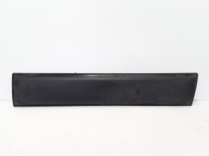 Front door molding - 808725725R