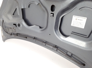 RENAULT Twingo II (2007–2014) Hood 7751477649 - 2