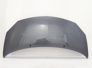   Motorhaube  - 7751477649 