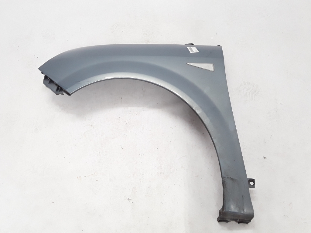 RENAULT Scenic 2 generation (2003-2010) Garde-boue avant gauche 8200020568 22310269