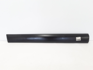 Front door molding - 808770999R