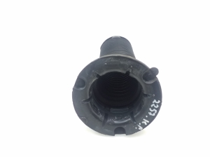 LEXUS GS (2011–2017) Front shock absorber protection 4815730090 - 2