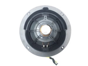  Rear side door speaker 