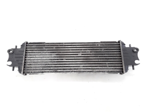 RENAULT Trafic II (2001–2014) Radiateur intercooler 7700312903 - 2