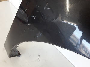 Dacia Sandero (2012–2021) Front fender - 2