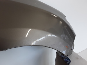 Dacia Sandero (2012–2021) Front fender 631001530 - 3