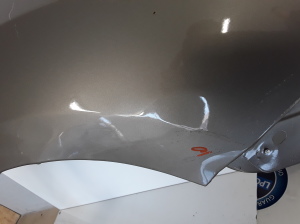 Dacia Sandero (2012–2021) Front fender 631001530 - 4