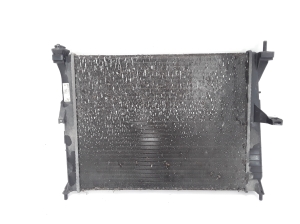   Jahutusradiaator  - 8200138738 