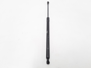   Heckklappendämpfer  - 8200665709 