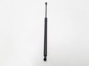   Tagaluugi amortisaator  - 8200665709 