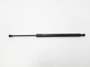 RENAULT Modus (2004–2012) Heckklappendämpfer 8200665709 - 3