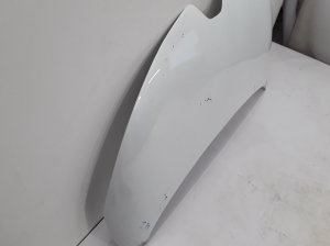 RENAULT Zoe (2012–2026) Hood 651221804R - 3