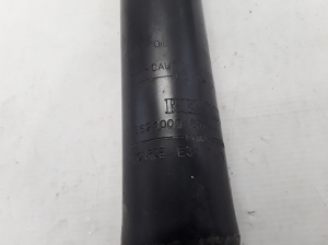 RENAULT Scenic (2009–2015) Stoßdämpfer hinten 562100018R - 4
