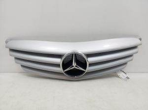   Kühlergrill  - A1698800183 