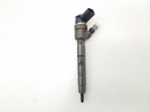   Fuel injector 