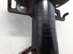 RENAULT Scenic (2009–2015) Front shock absorber 543020017 - 4