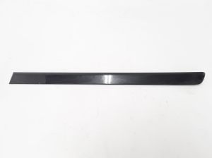  Rear side door molding  - 09187734 