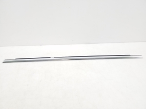 Rear side door outer window molding - A2127351065
