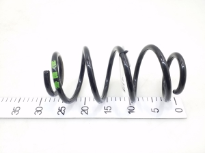 Rear spring - A2463242804