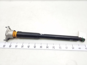 Stoßdämpfer hinten - A1173201131
