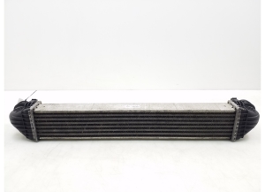   Intercooler  - A1695000000 