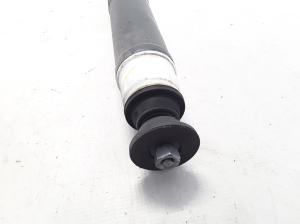 RENAULT Captur (2013–2019) Stoßdämpfer hinten 562107338R - 2