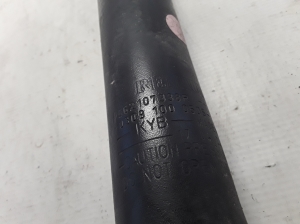 RENAULT Captur (2013–2019) Stoßdämpfer hinten 562107338R - 4