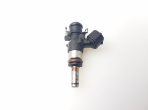   Fuel injector 