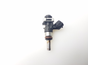   Fuel injector 