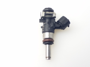   Fuel injector 