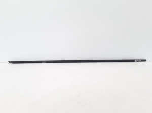 RENAULT Latitude (2010–2017) Fensterschachtleiste außen Tür hinten 828210169R - 2