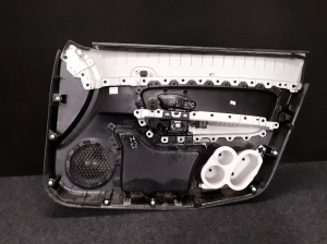 RENAULT Latitude (2010–2017) Front door panel 809011035R - 2