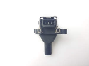 BMW 5 SERIES E39 (1995–2004) Zündspule 0221504004 - 2