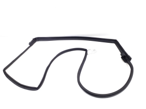   Rear side door seal  - 6787247051 