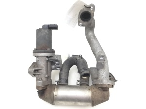  EGR valve and its parts 