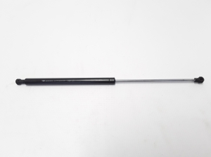 RENAULT Laguna II (2001–2007) Heckklappendämpfer 8200025317 - 3