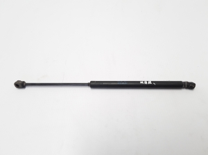 RENAULT Clio III (2005–2012) Heckklappendämpfer 8200583852 - 2