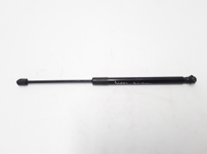 RENAULT Clio III (2005–2012) Heckklappendämpfer 8200583852 - 3