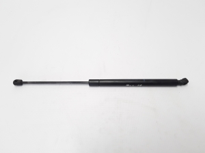 RENAULT Megane II (2002–2009) Heckklappendämpfer 8200119498 - 2