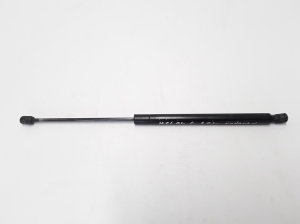 RENAULT Megane II (2002–2009) Heckklappendämpfer 8200119498 - 2