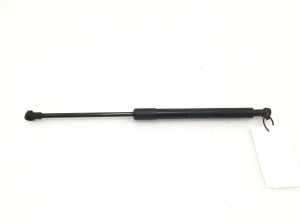 Hood prop/gas strut - 7129190