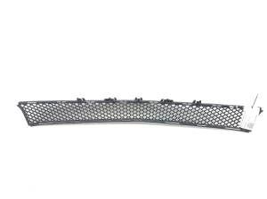  Front bumper lower grille 