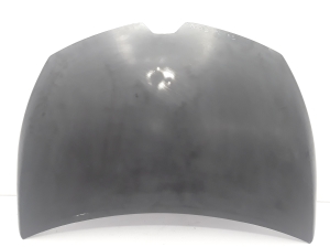 Motorhaube - 651009833R