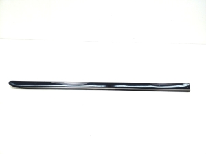 Front door molding - A2516902262