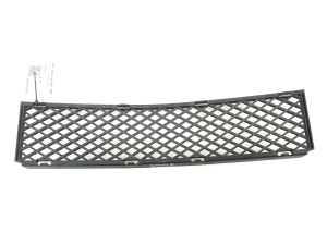 Front bumper lower grille - 51117135573